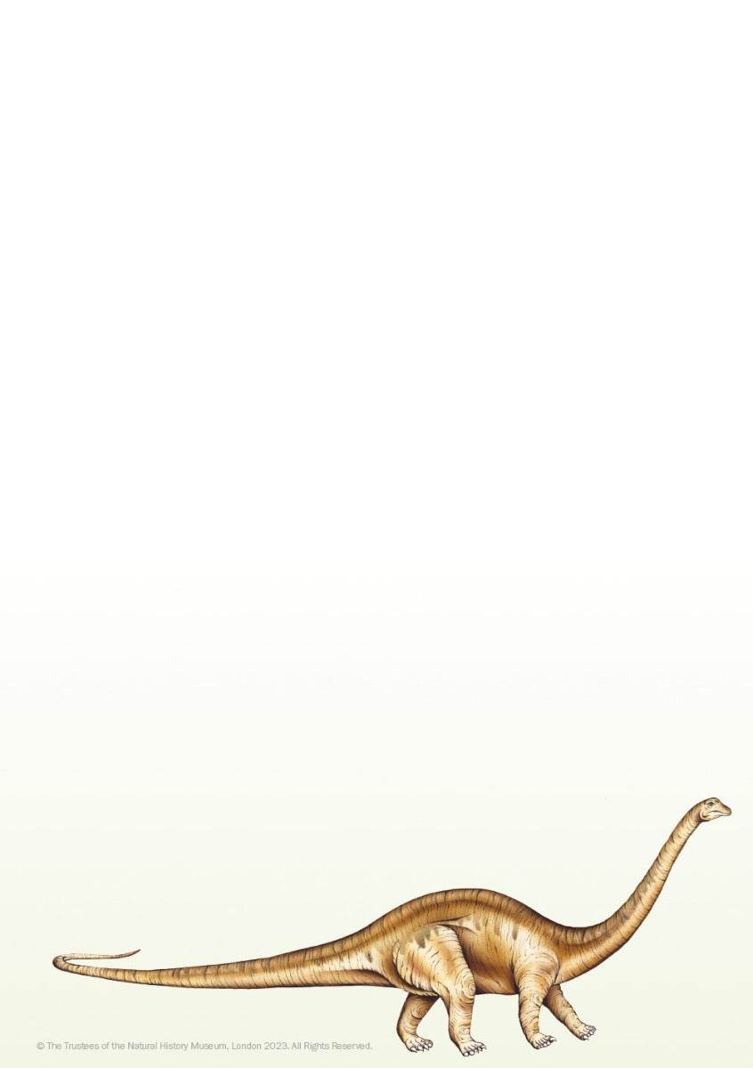 Dinosaur Writing Set - House of Cards