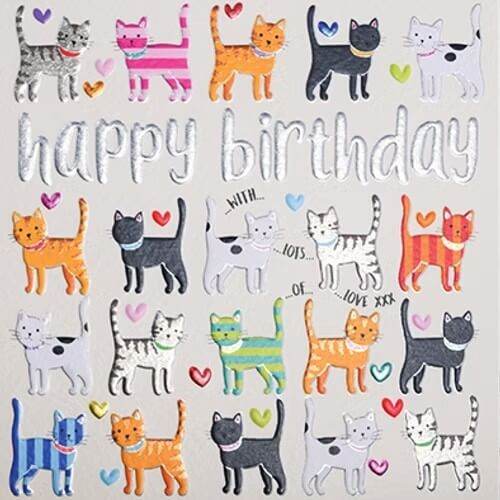 Cats Birthday Card - House of Cards