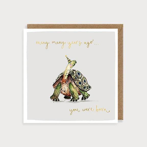 Tortoise Birthday Card - House of Cards