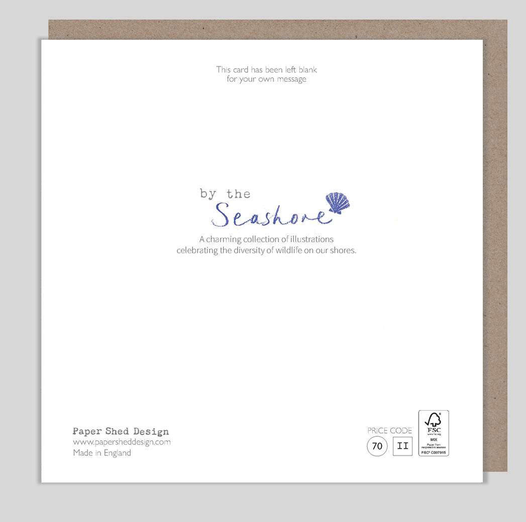 Ice Cream Seagull Birthday Card - House of Cards