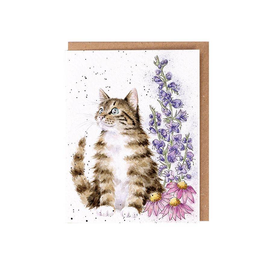 Whiskers Cat Seed Card - House of Cards
