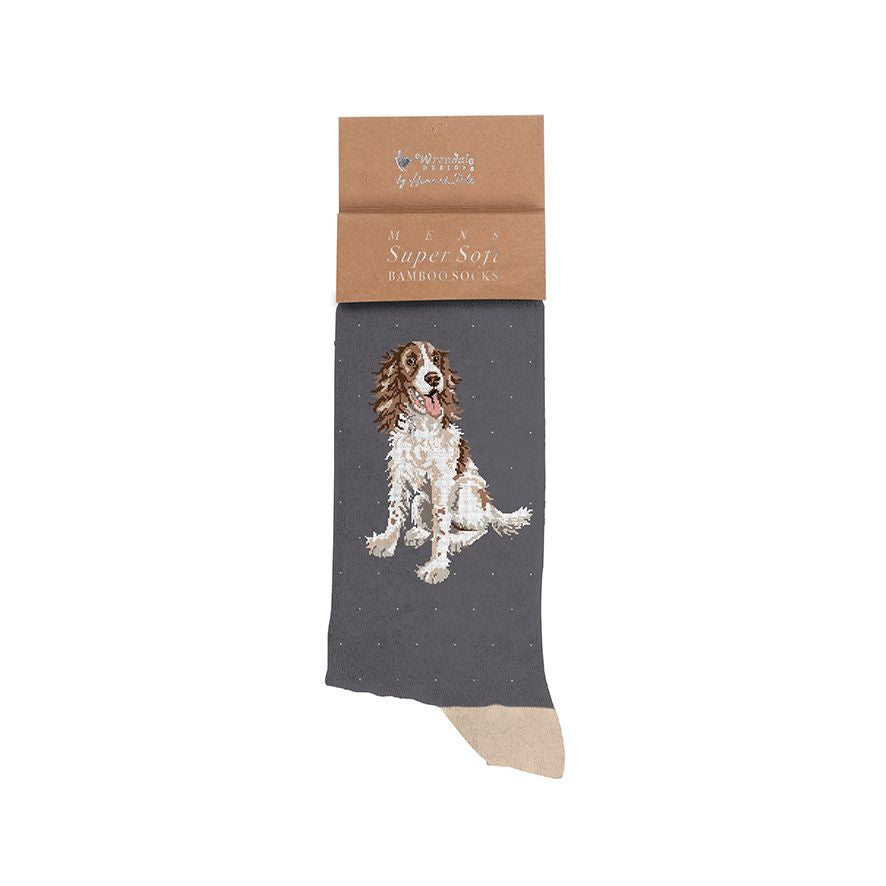 Springer Spaniel Men's Bamboo Socks