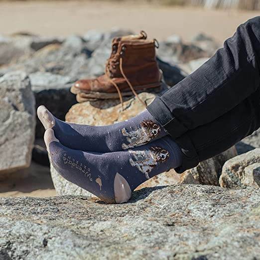 Springer Spaniel Men's Bamboo Socks - House of Cards