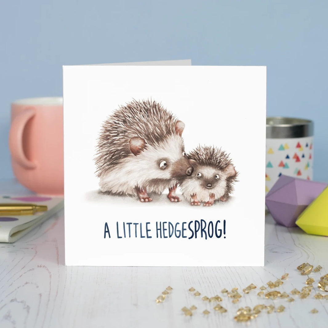 Hedgehog New Baby Card