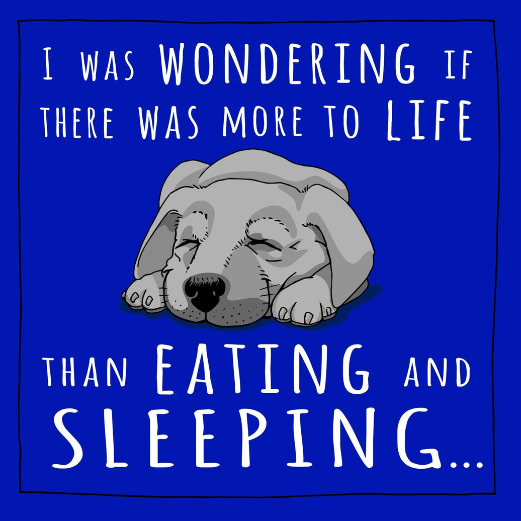 Totally Pawsome More To Life Dog Birthday Card - House of Cards