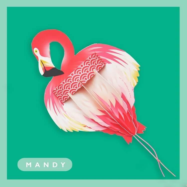 Flamingo Mandy Greeting Card