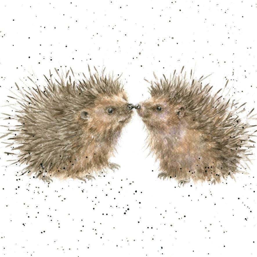 Hogs and Kisses - House of Cards