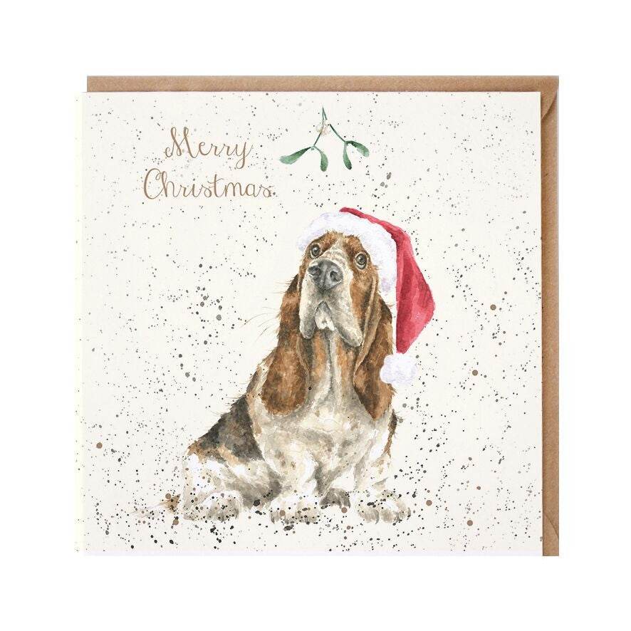 Christmas Basset Hound - House of Cards