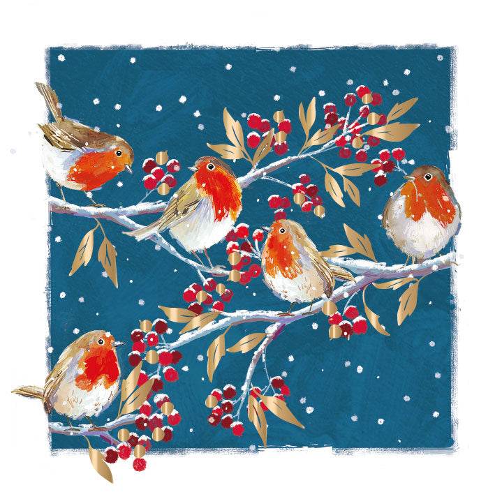Robins Christmas Cards Premium Small Box of 10 - House of Cards