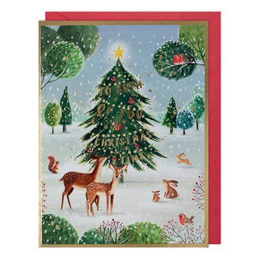Both of You Wildlife Christmas Card - House of Cards