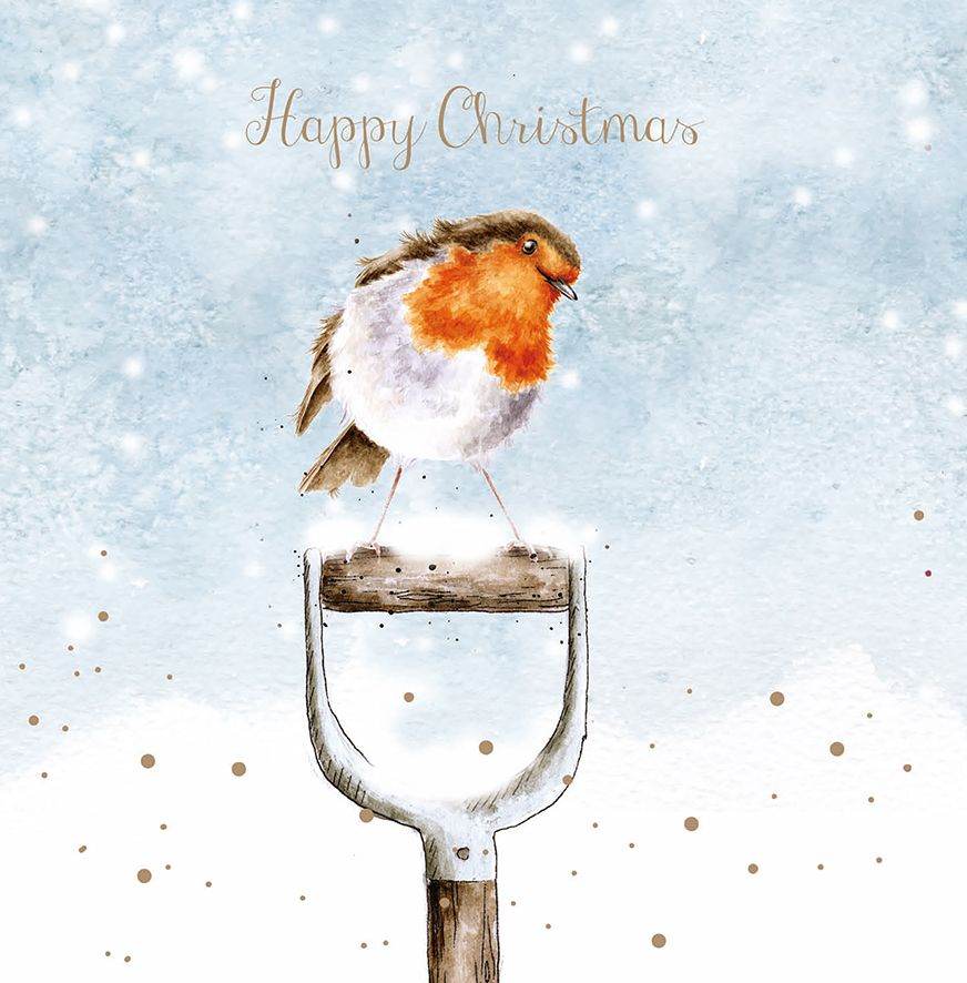 Robin on Spade Christmas Cards - House of Cards