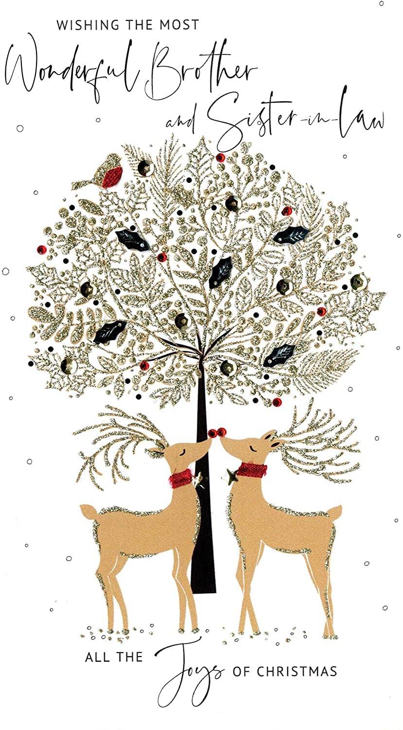 Brother and Sister-in-law Christmas Card - House of Cards