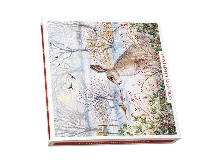 Country Christmas Boxed Cards - House of Cards