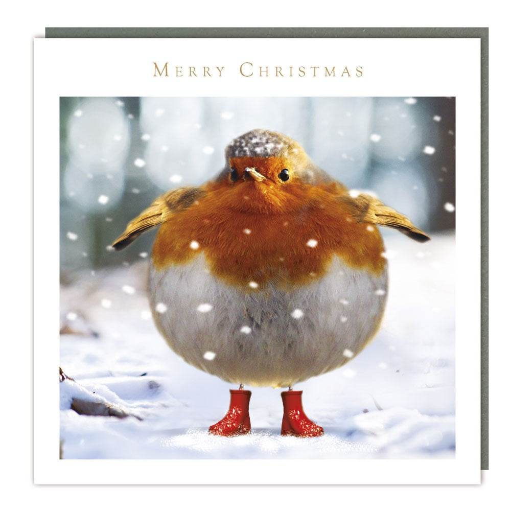 5 Red-Booted Robin Charity Christmas Cards - House of Cards