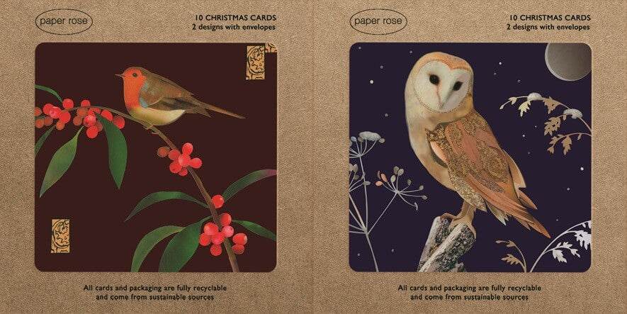 Owl and Robin Boxed Christmas Cards - House of Cards