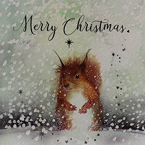 6 Snowy Red Squirrel Charity Christmas Cards - House of Cards