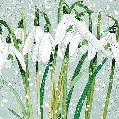 6 Snowdrops Christmas Cards - House of Cards