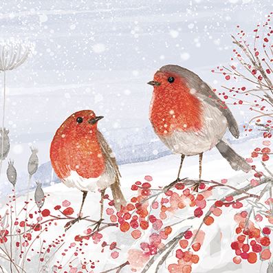 Robins on a Branch Christmas Cards
