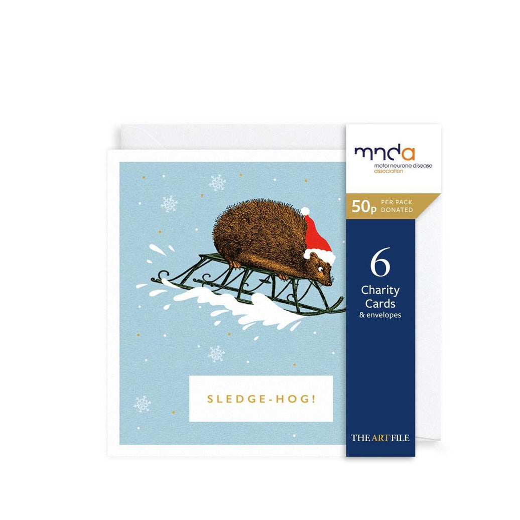 Pack of 6 Sledge-Hog Charity Christmas Cards - House of Cards