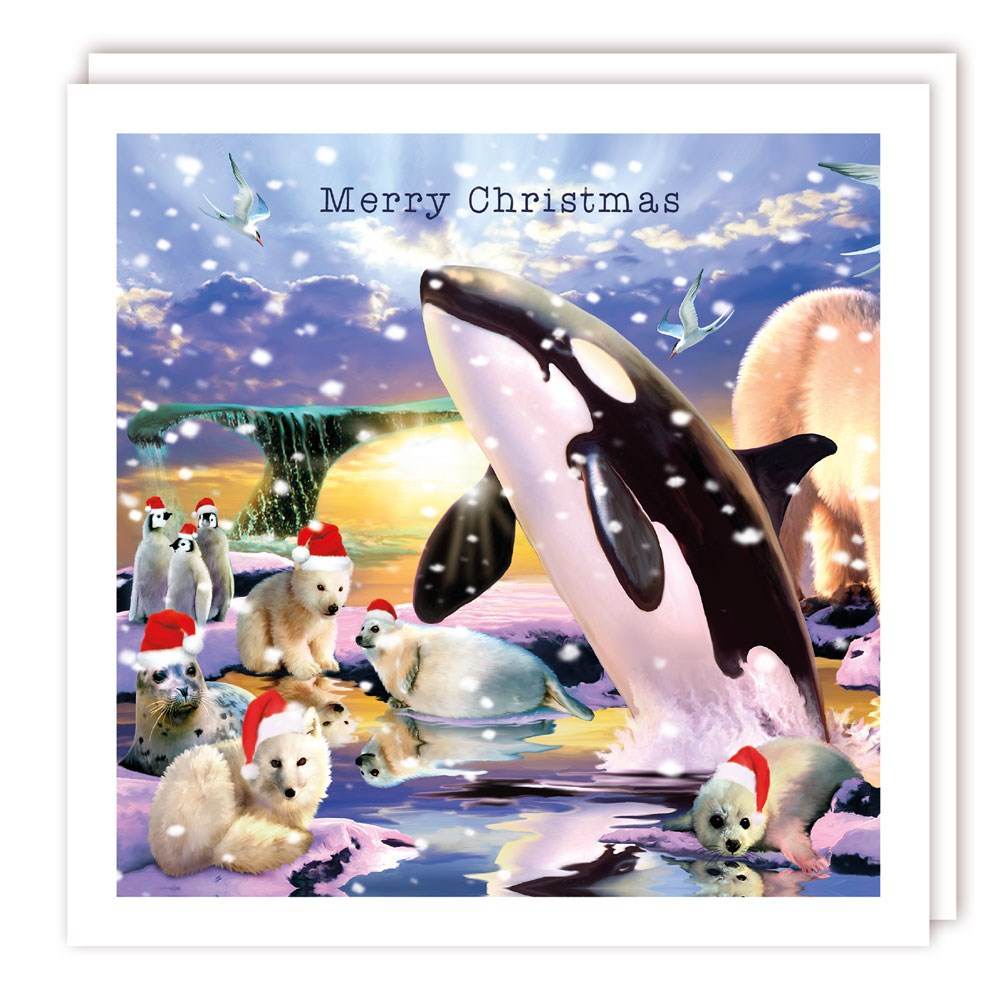 5 Orand Friends Charity Christmas Cards - House of Cards