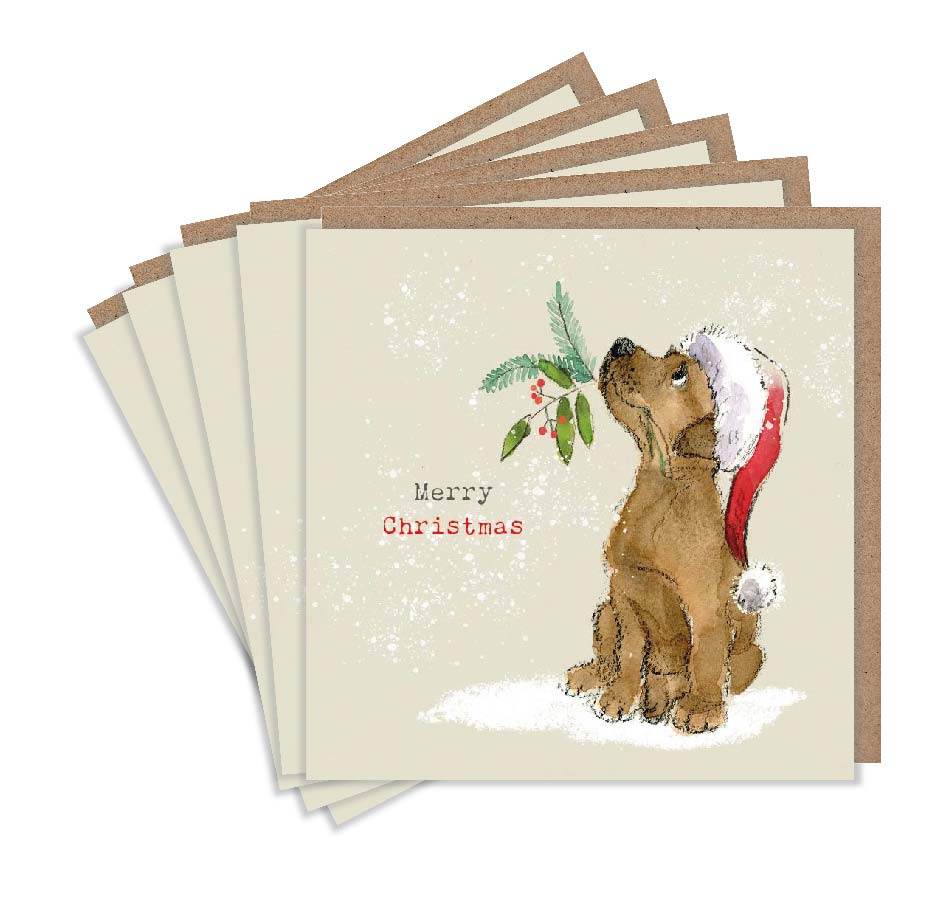 Pack of 5 Festive Puppy Christmas Cards - House of Cards
