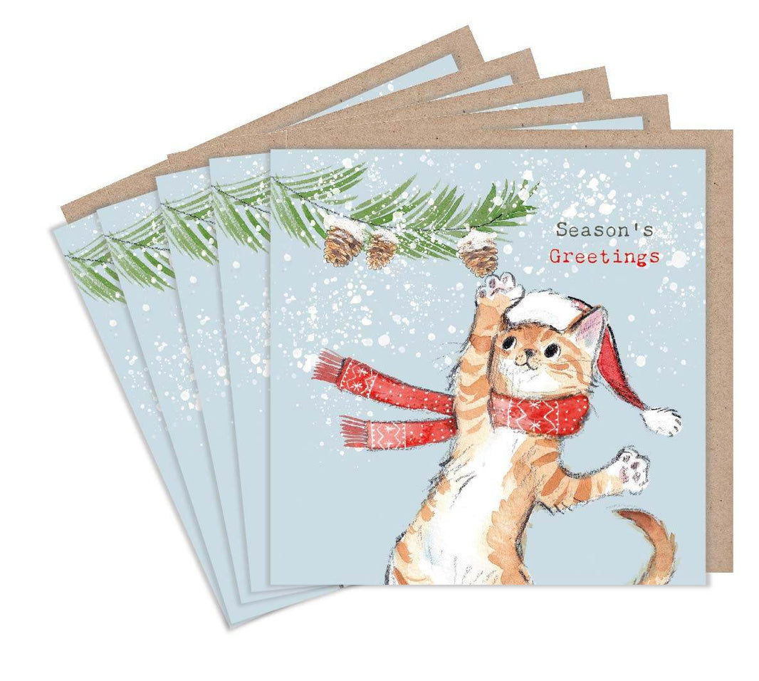 Pack of 5 Festive Playful Cat Christmas Cards - House of Cards