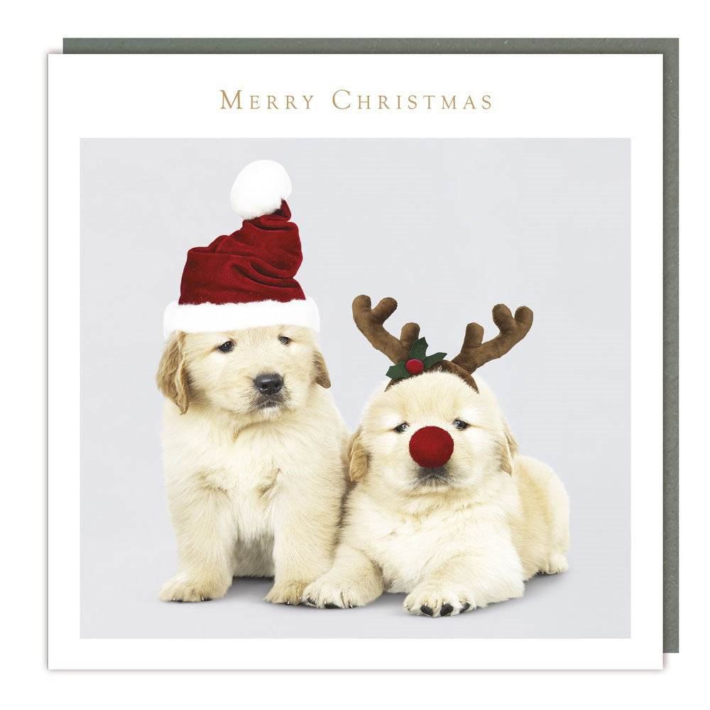 5 Festive Puppies Charity Christmas Cards - House of Cards