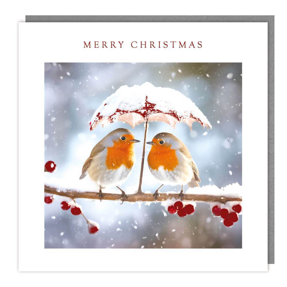 5 Robin Umbrella Charity Christmas Cards - House of Cards