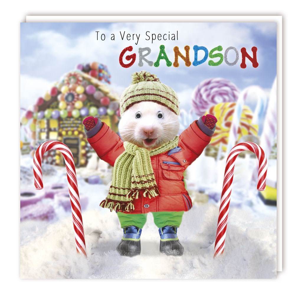 Gogglies Grandson Christmas Card - House of Cards