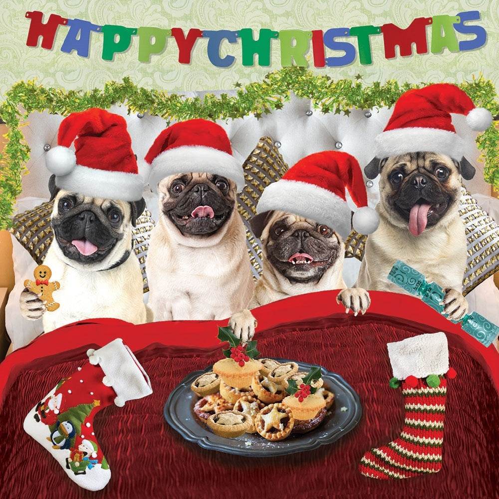 Pug Pies in Bed Christmas Card - House of Cards