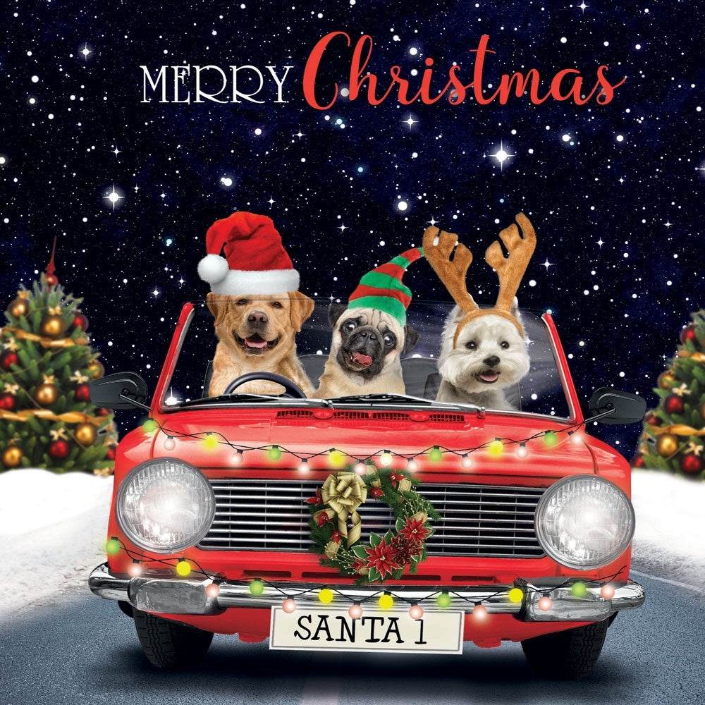3D Lenticular Dogs Driving Car Christmas Card - House of Cards