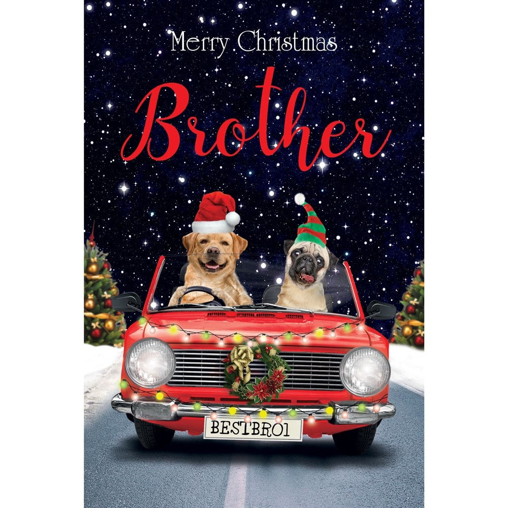 Brother Dogs Driving Car Christmas Card
