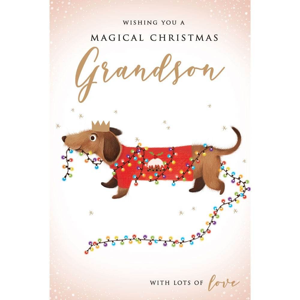 Grandson Dachshund Christmas Card - House of Cards