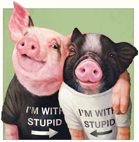 Stupid Pigs Birthday Card - House of Cards