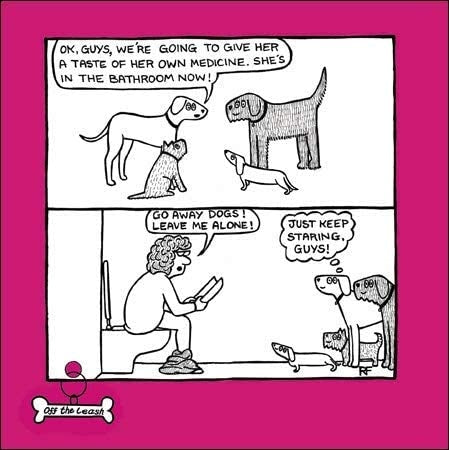 Dogs Keep Staring Greetings Card