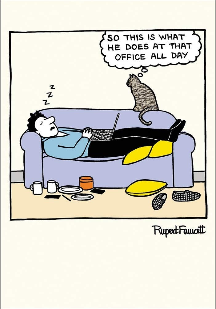 On The Prowl Sofa Nap Greetings Card