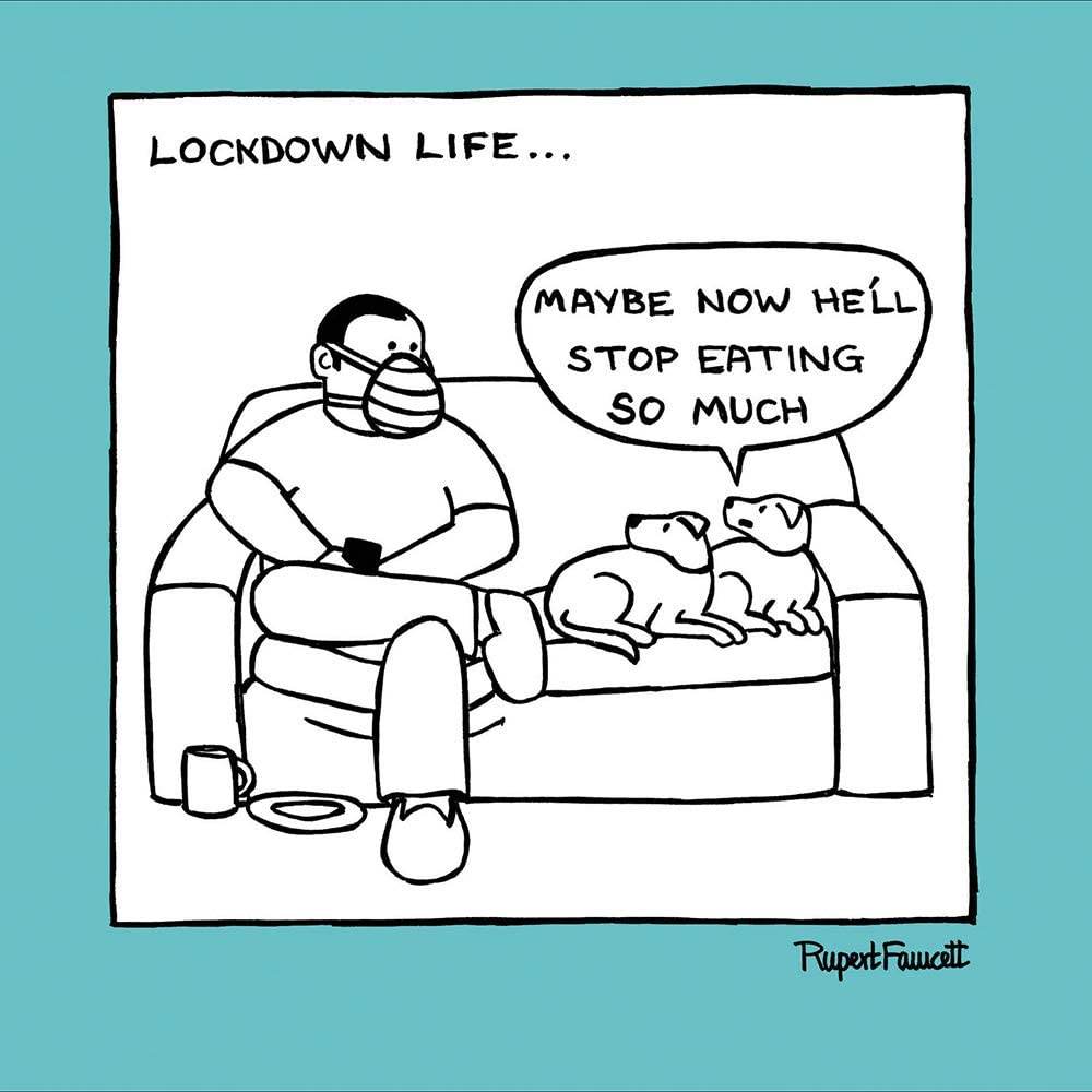 Stop Eating So Much Greetings Card - House of Cards