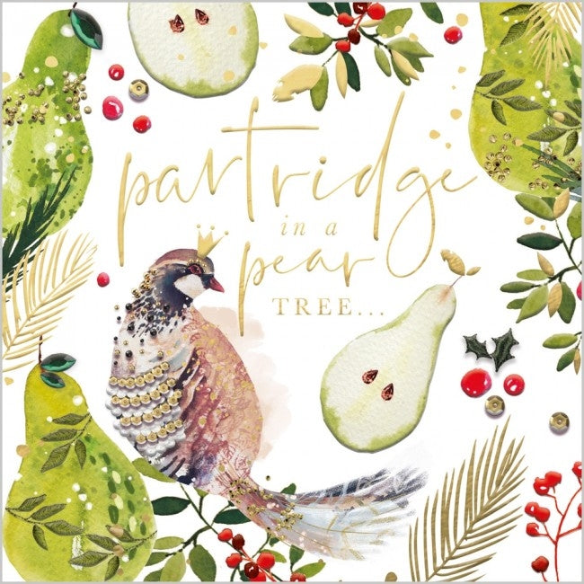 Partridge in a Pear Tree Christmas Box Cards