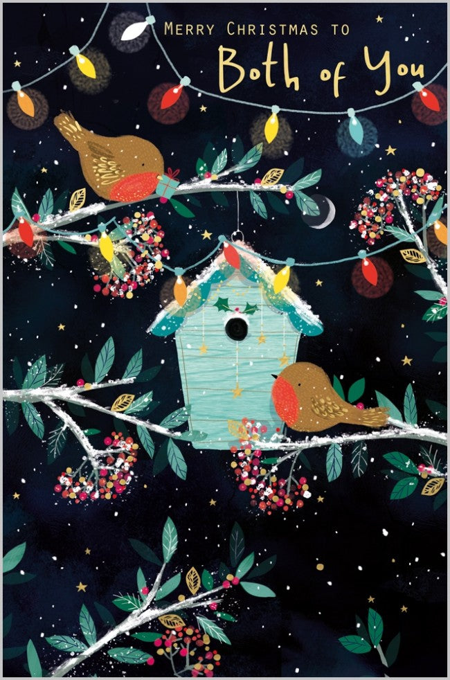Christmas Lights and Robins Both of You Christmas Card