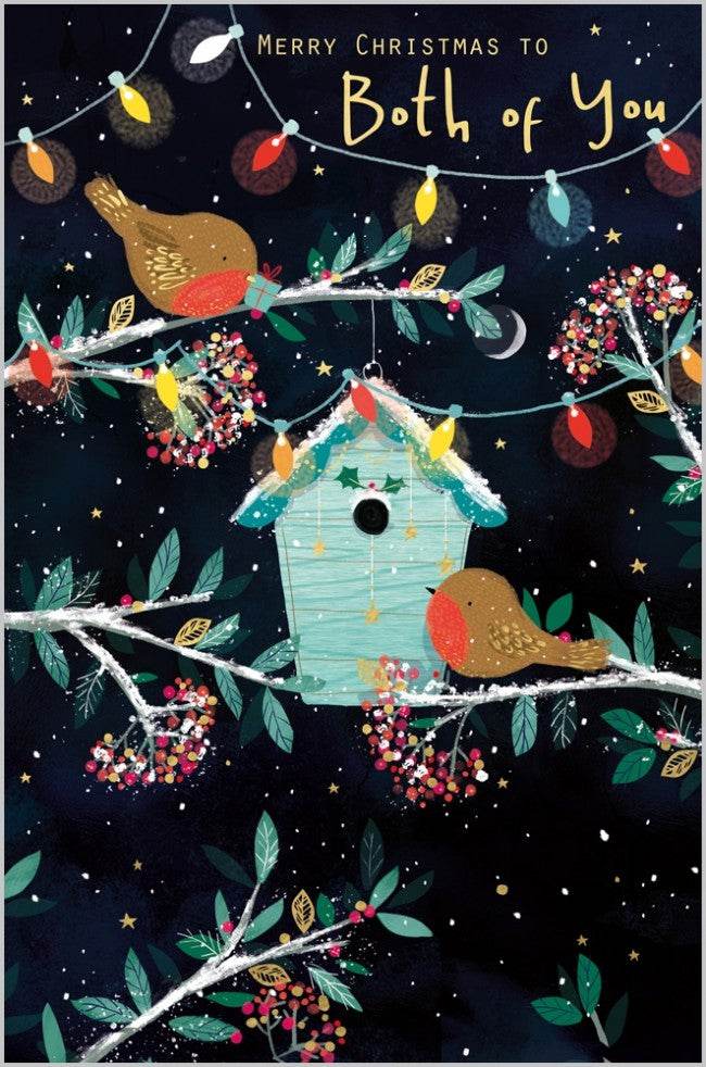 Christmas Lights and Robins Both of You Christmas Card - House of Cards
