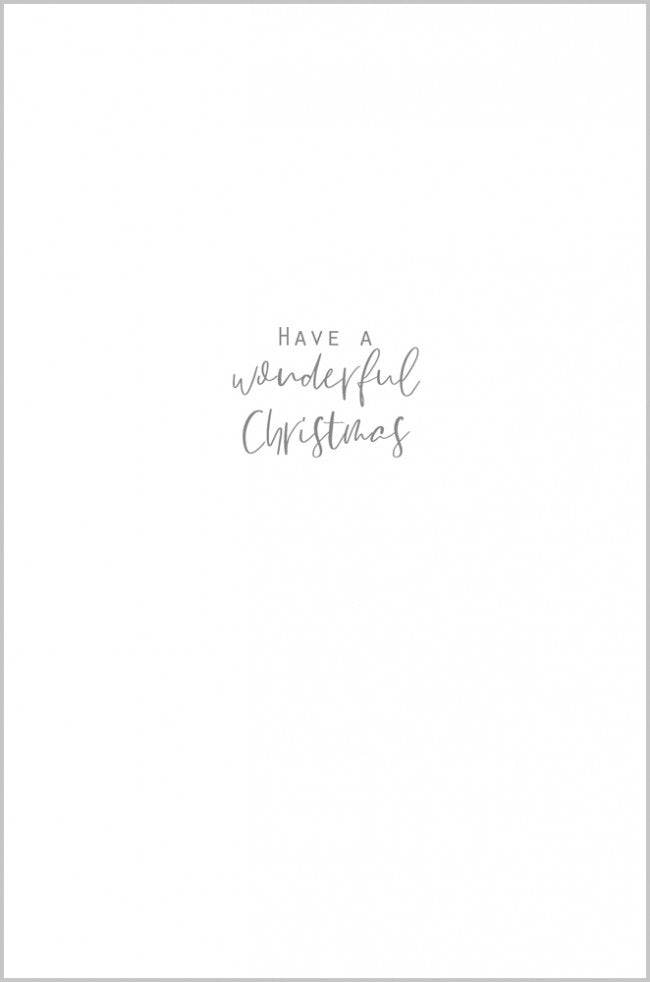 Christmas Lights and Robins Both of You Christmas Card - House of Cards