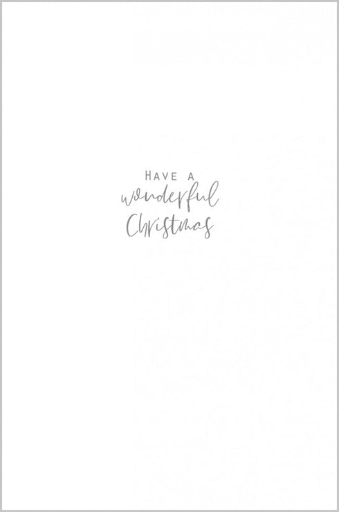 Christmas Lights and Robins Both of You Christmas Card