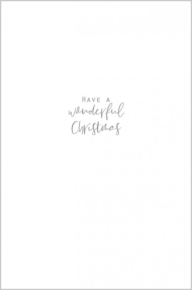 Christmas Lights and Robins Both of You Christmas Card