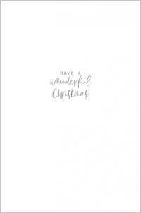 Christmas Lights and Robins Both of You Christmas Card