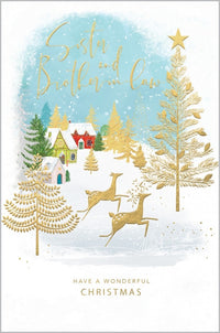 Reindeer Sister and Brother in Law Christmas Card