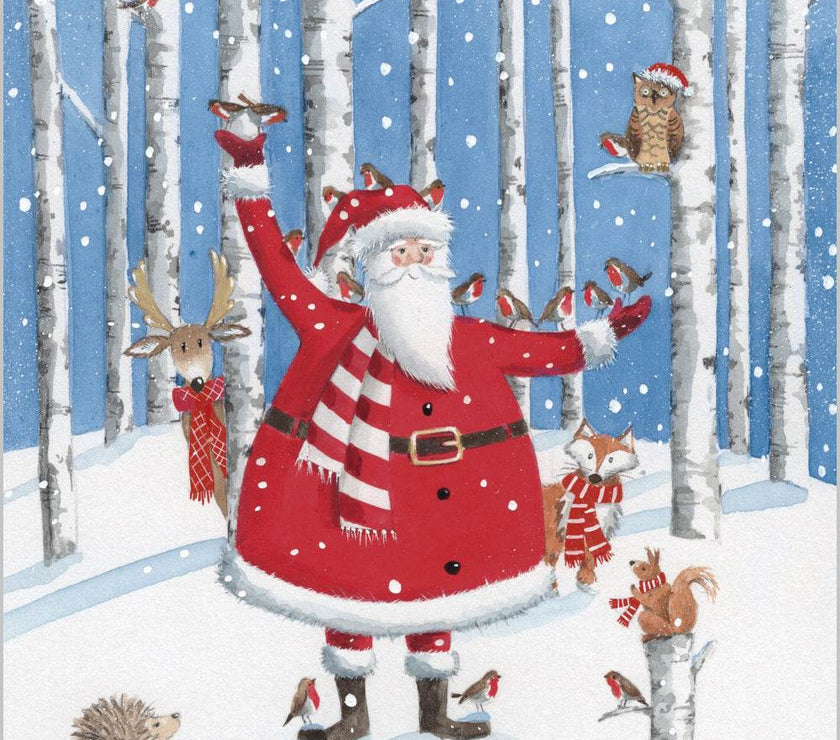 Woodland Santa Charity Christmas Cards - House of Cards