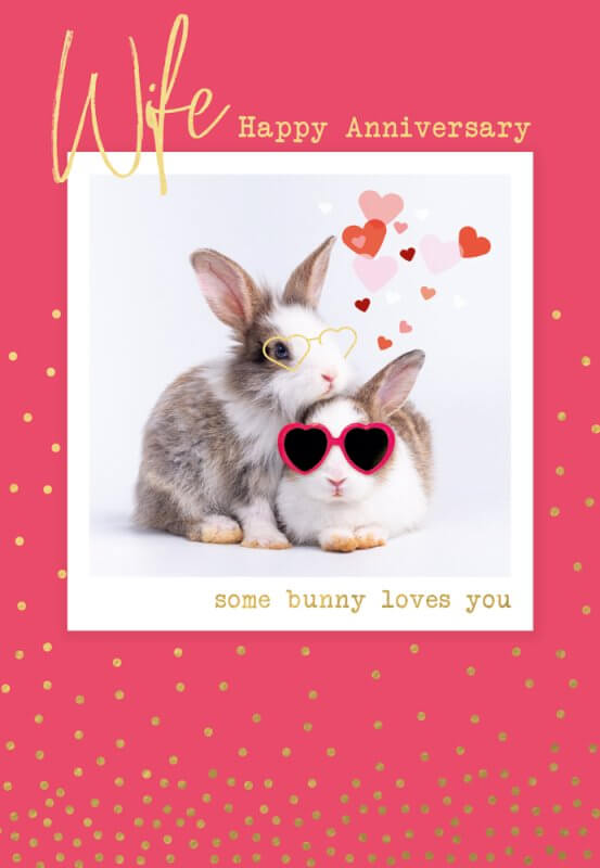 Wife Anniversary Greeting Card