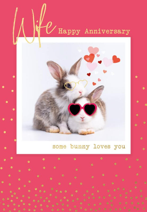 Wife Anniversary Greeting Card
