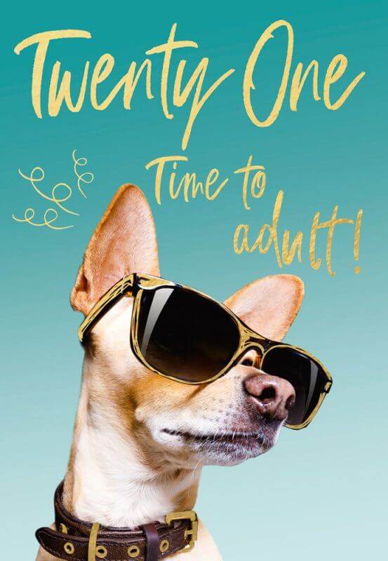 21st Birthday Card - House of Cards