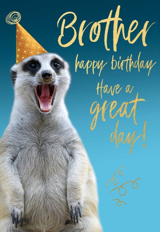 Brother Birthday Card
